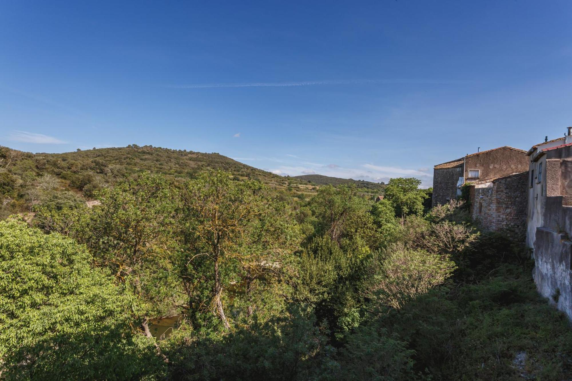 Cosy In Ancient With River And Vineyard Views Apartment