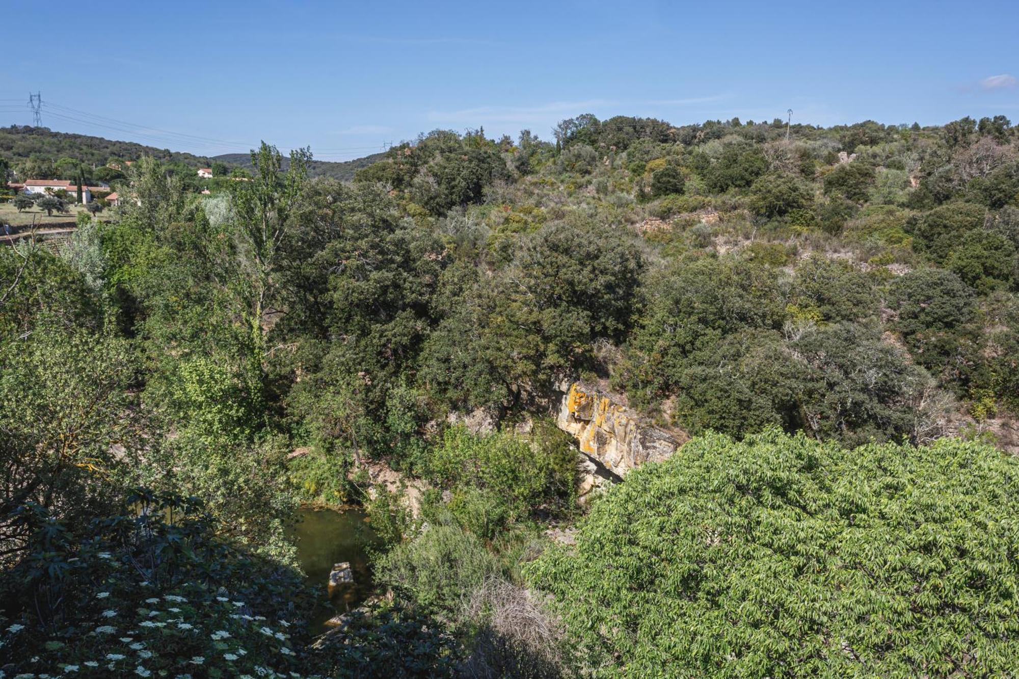 Cosy In Ancient With River And Vineyard Views Apartment *